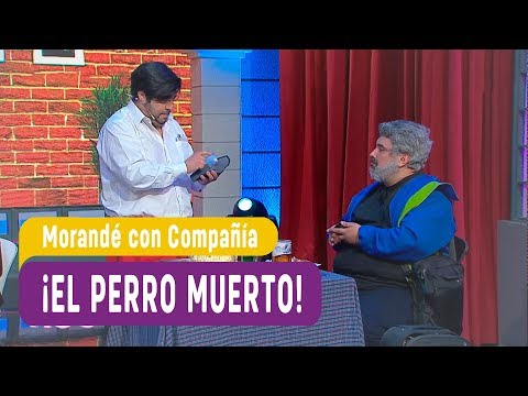 ¡El perro muerto! - Morandé con compañía 2019