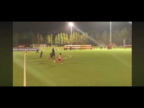 Minijatura videozapisa