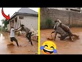 Try Not To Laugh Challenge ️ LEVEL 36 Instant Regret Fails Pranks Compilations 2025