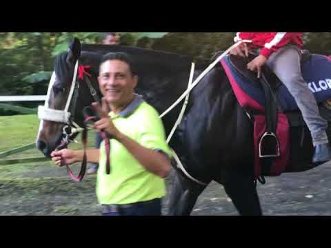 Ambiance au Centre Guy Desmarais à Floréal (Inside Turf News)