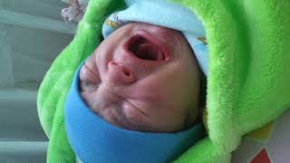 Download lagu New Born Baby First crying,, so cute..!! mp3