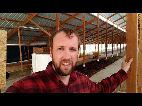 Checking up on the worm farm - I added more worms