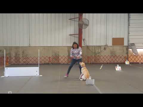 Cozette Rally Master, Nov 25, 2017