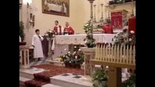 preview picture of video 'Sardegna- Arbus Festa Patronale di San Sebastiano Martire 2015'