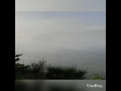 Torre Bormida nella nebbia