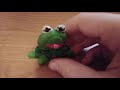 Caribbean Amphibian