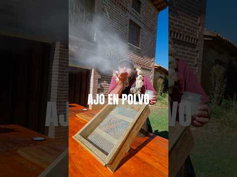 Ajo en polvo casero.
