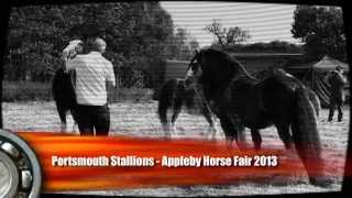 preview picture of video 'Appleby Horse Fair 2013 - Stallions'