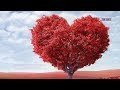 Relaxing Peaceful Romantic Instrumental Music "Valentine Heart" by Tim Janis