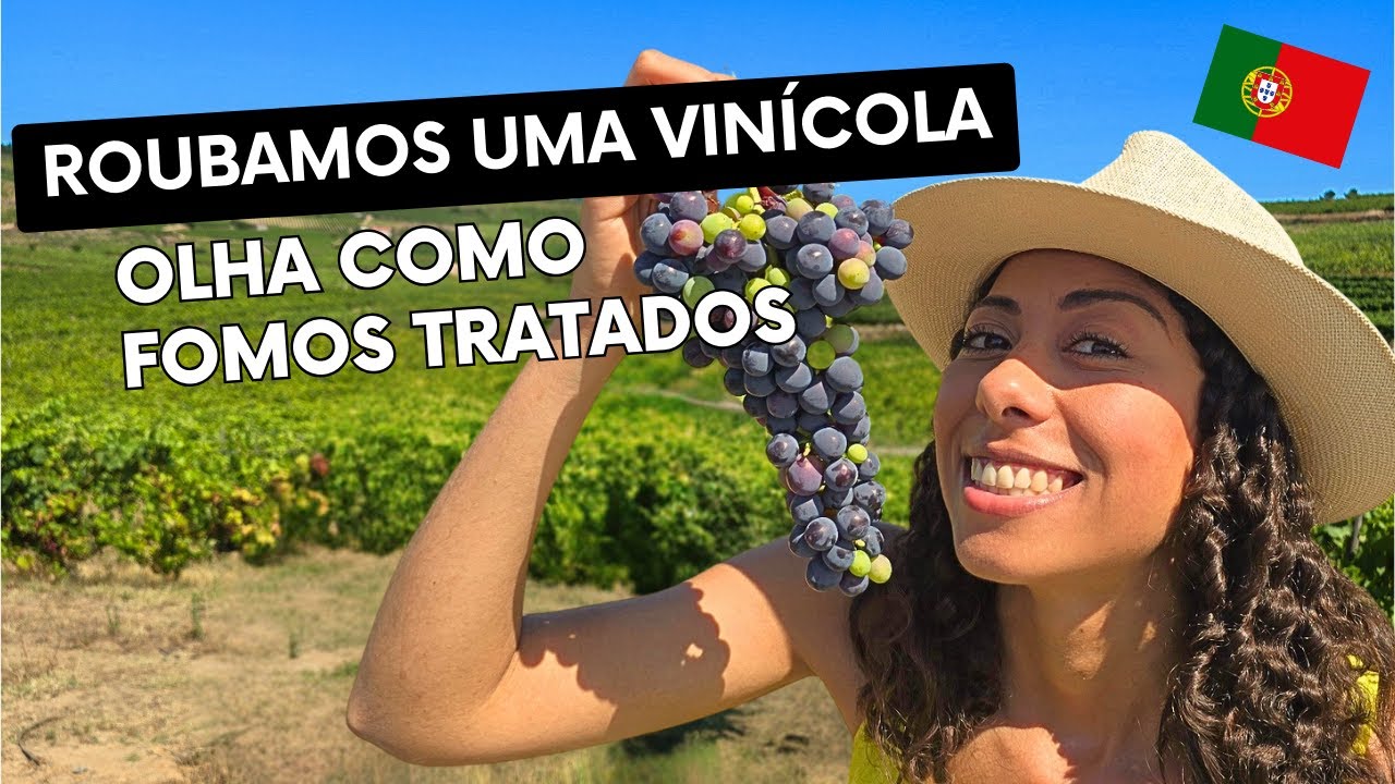 É DAQUI de onde SAEM os VINHOS do PORTO em PORTUGAL