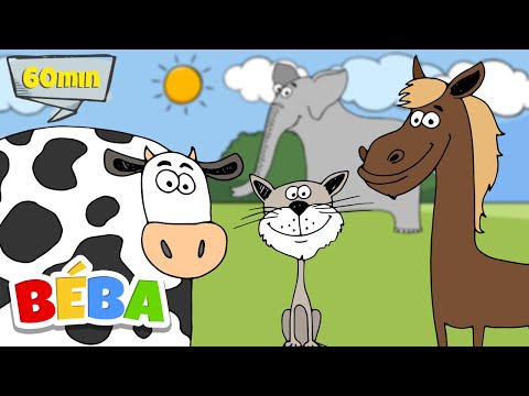 ZVÍŘECÍ PÍSNIČKA | Dětské písničky | Jak dělají zvířátka | Zvuky zvířat