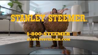 Stanley Steemer 🧹 “The Dirt Balls Take a Road Trip Through the House”