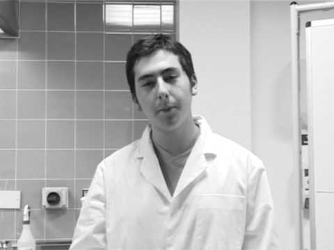 1950s Brylcreem advert.