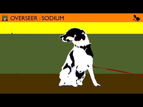 Overseer - Sodium