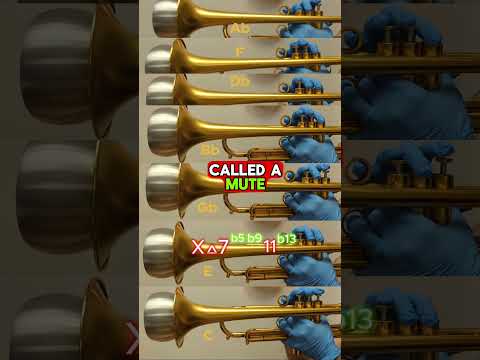 Harmon(y) MUTE 👀  #learnmusic #trumpet #brassplayers #mutes #harmony #jazz #musictheory #chord