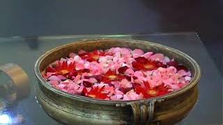 The Grand Bhagwati Video, Ahmedabad, Part 1