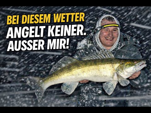 Zanderangeln bei Schneesturm❄️ JETZT beißt BIGFISH!🎣