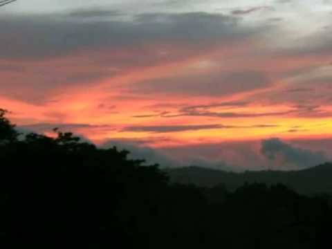 Manuel Guillen y su Orq. NUEVA SANGRE MORENA - BERLIN cancion oficial