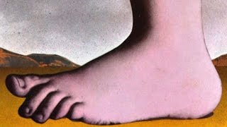 What is Monty Python’s Flying Circus