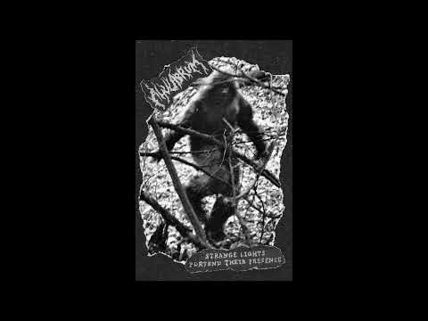 Ahulabrum (US) - Strange Lights Portend Their Presence (EP 2022)