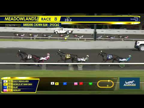 October 22, 2021 - Race 8 - Breeder's Crown Elimination 2YO Colt Trot