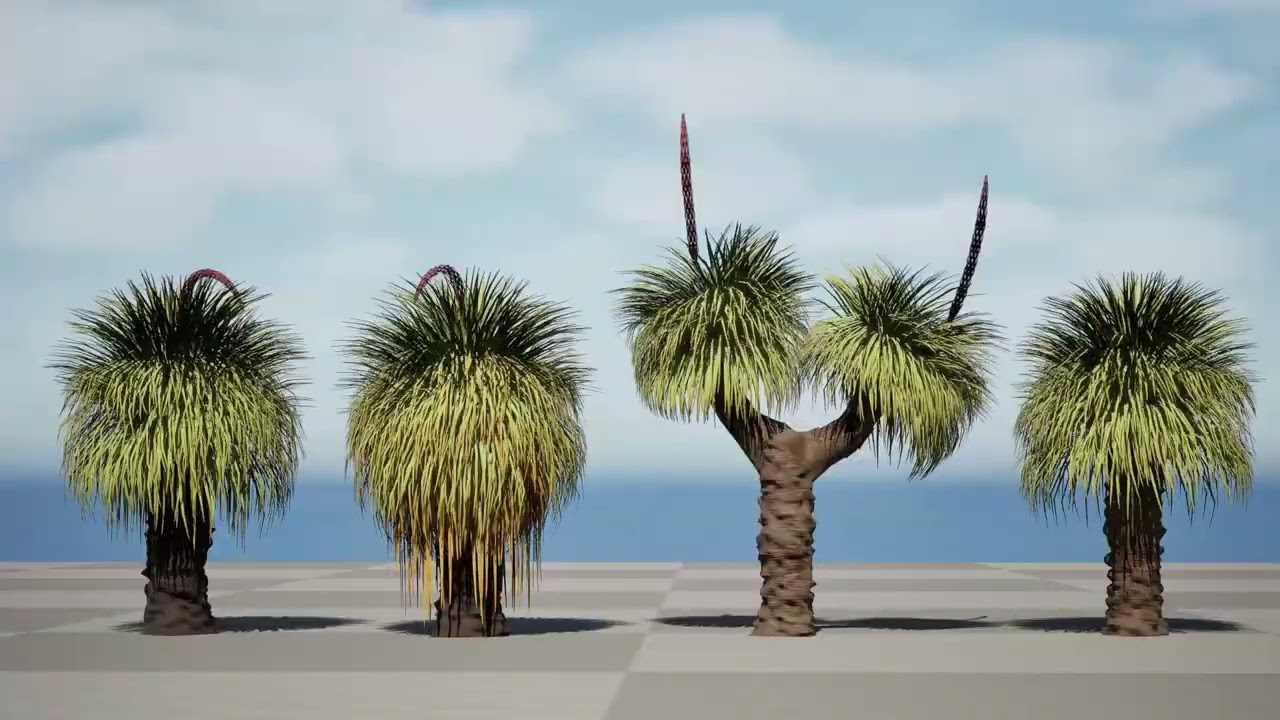 Australian Xanthorrhoea Pack 3D Model