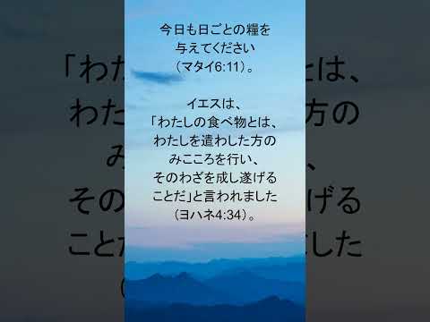 動画を再生