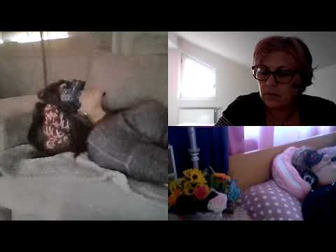 RO-576.Dana-Cohipnoza,Incursiune la Prima Viata.H.R. E. LASCU coord.si C.MORARU telepat