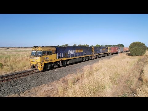 5MA5 Pacific National Container Freight Train (26/1/2023) - PoathTV Australian Railways & Railroads