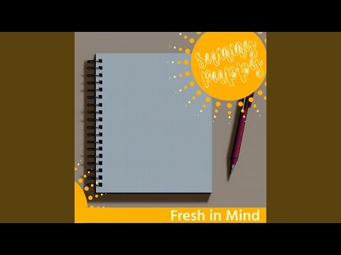 The Best of the Doctor