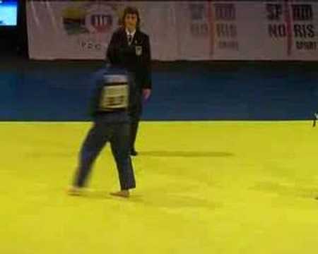Judo Euro 2008