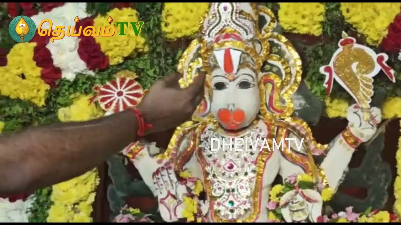 அருள்மிகு பழனி ஆண்டவர், அருள்மிகு பஞ்சமுக ஆஞ்சநேயர், அருள்மிகு ஐயப்பன் கோயில் ஆலயஆரத்தி #dheivamtv