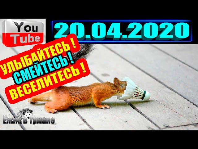 ПОДБОРКА Лучших Приколов Приколы из ИНСТАГРАМА 2020