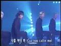 Shinhwa Wild Eyes 