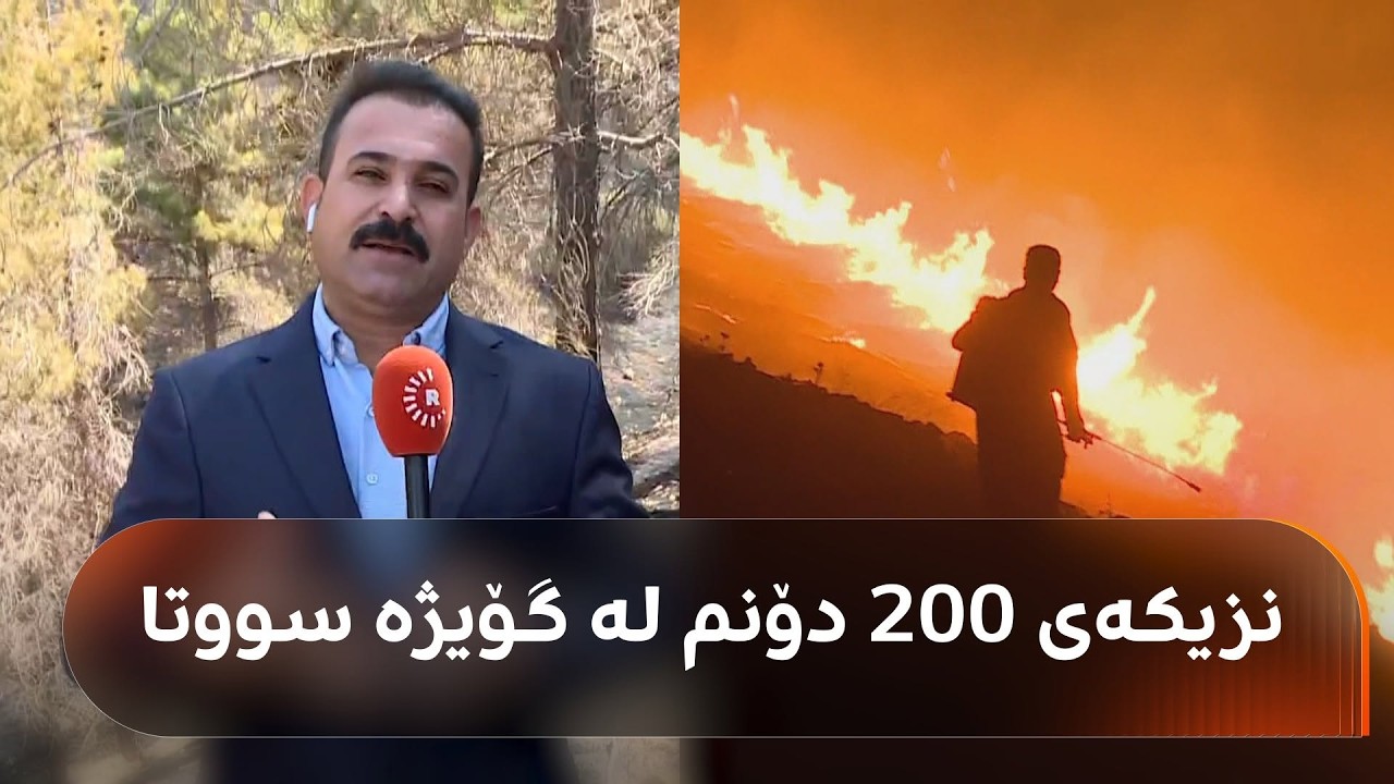 ڤیدیۆ | ئاگر لە شاخی گۆیژەی سلێمانی کەوتەوە و نزیکەی 200 دۆنم دارستان و پاوان سووتان؛ هۆکار چی بوو؟