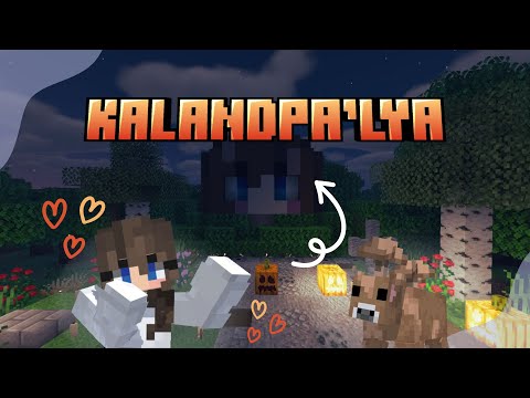 👆🌸Nixy KIVISZI! - Kalandpálya tőletek! 👆🌸