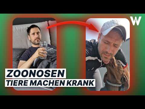 Krank durch Katzen, Hund & Co: Erste Anzeichen! Haustiere können diese Krankheiten verursachen