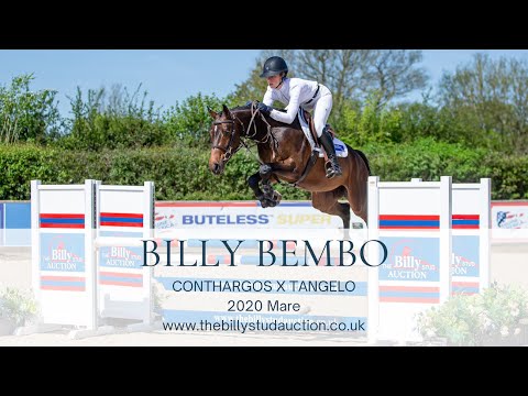 Billy Bembo