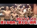 ボディビル初出場までの記録20170110【東京オープン】使える筋肉・使えない筋肉