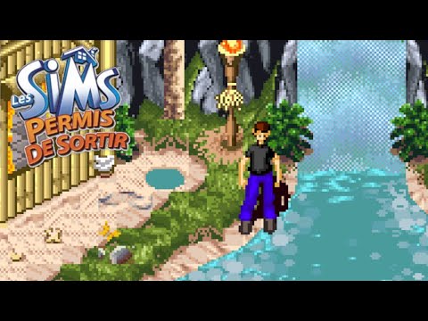 les sims permis de sortir gba soluce