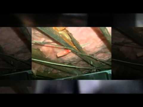 Why should you hire a quality inspector in Lexington, Massachusetts | 978 253-0799 | Call US!