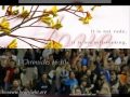 Third Day Agnus Dei Legendado Mpeg