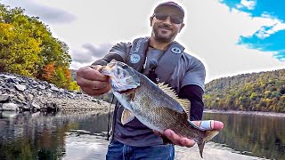 Finding Transition Smallmouth Bass in the Fall (DEEP DROPSHOT BASS FISHING!!!)
