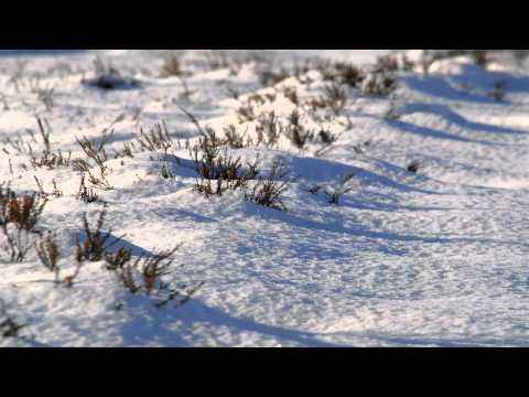 Things Happen: Alex Khaskin