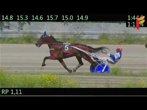 II Corsa del 18 Maggio 2022 - 4 Anni - Metri 2000