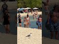 🇲🇽 Wonderful Playa del Carmen, Mexico #shorts