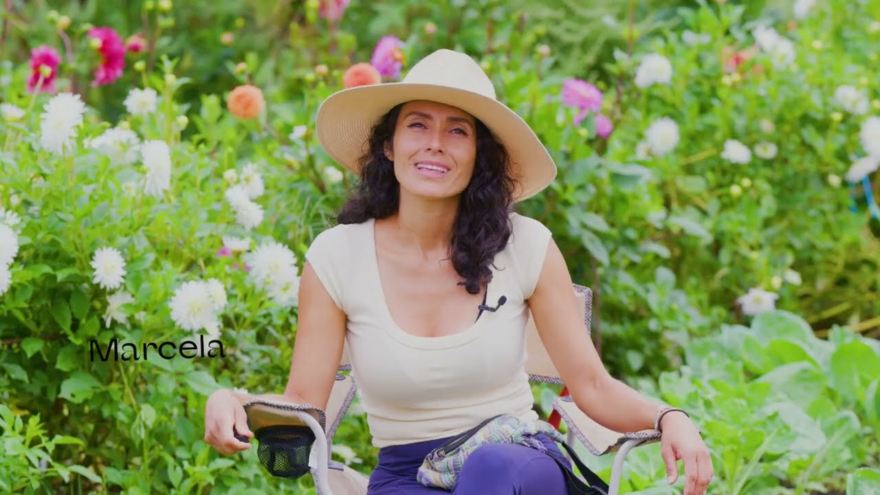 Marcela