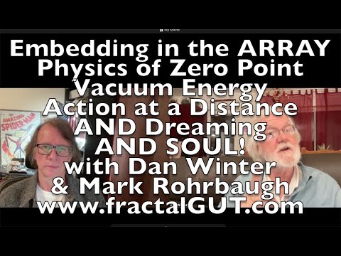 EMBEDDING in the ARRAY:Physics of Zero Point,Gravity,Distance Action &Dreaming &SOUL! FractalGUT.com