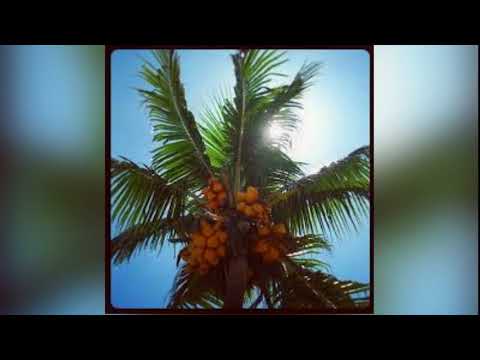 Jaro Local ft. Ritchy & Chris Young- AD Geni