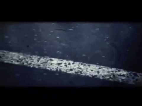 Tyler.cz - Tyler a.k.a. Detroit-Ze šuplíku(snippets)